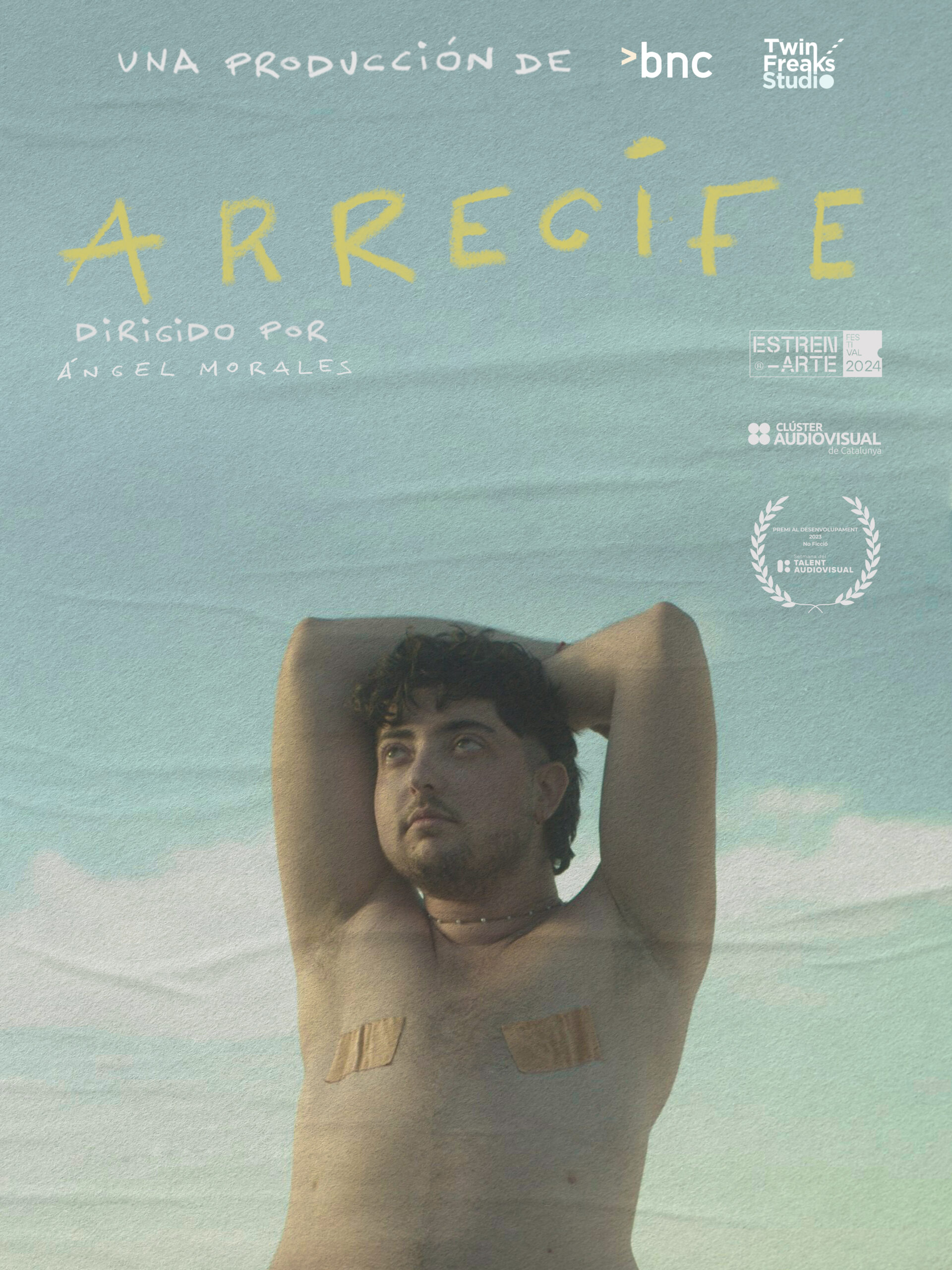 POSTER ARRECIFE